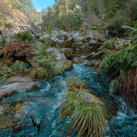 セイア Casa Da Ribeira Do Cirioゲストハウス エクステリア 写真