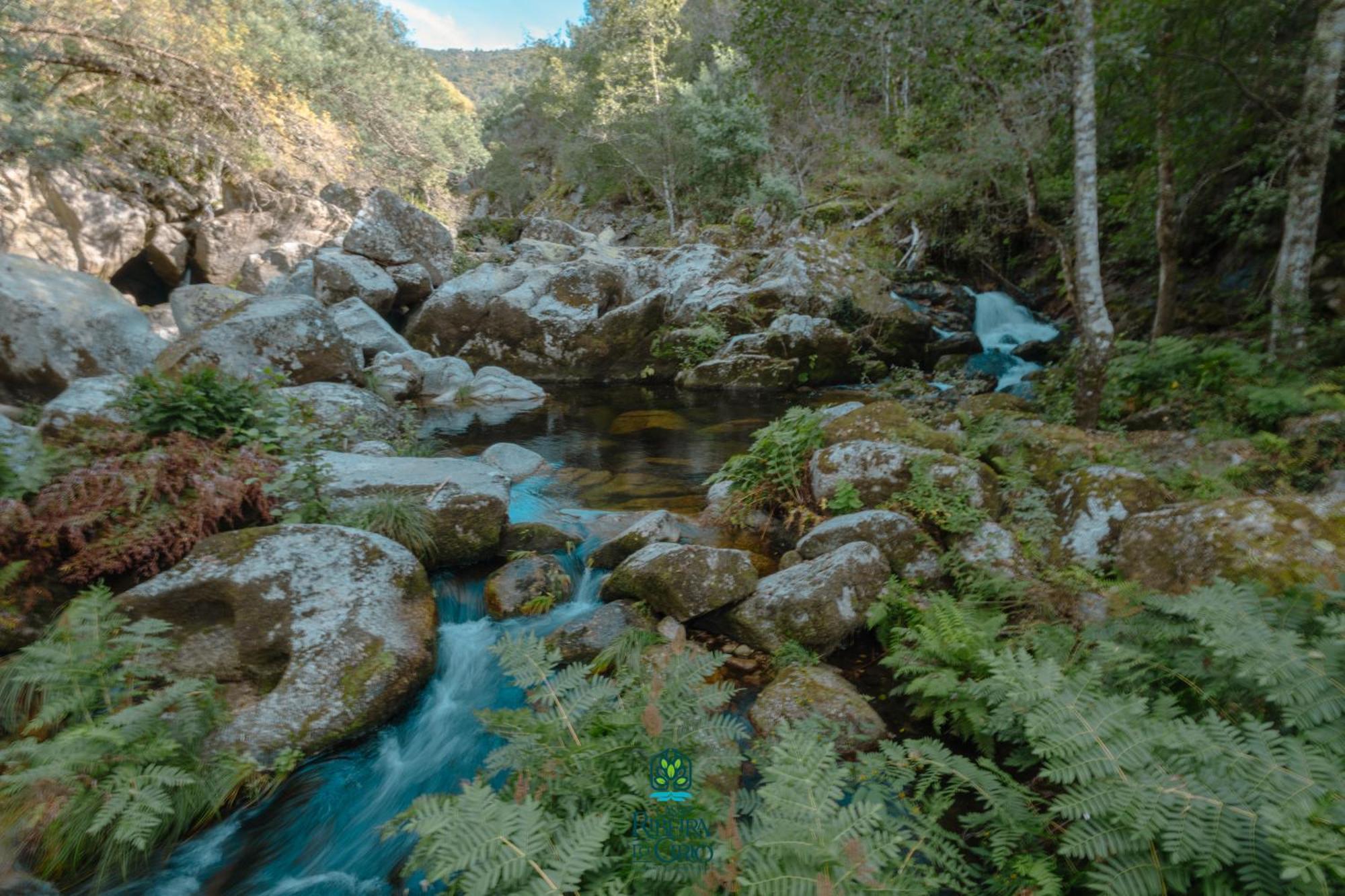 セイア Casa Da Ribeira Do Cirioゲストハウス エクステリア 写真